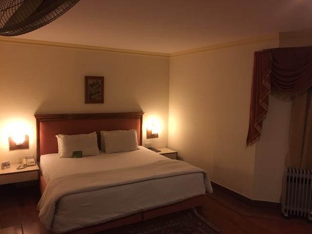 Shiva Oasis Resort Neemrana Værelse billede