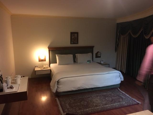 Shiva Oasis Resort Neemrana Værelse billede
